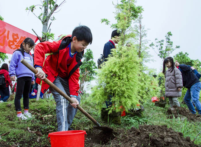 西奧多公益植樹活動(dòng)