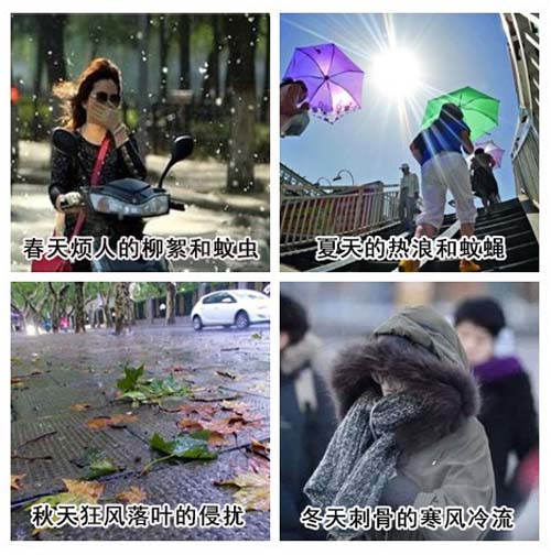 西奧多風(fēng)幕機